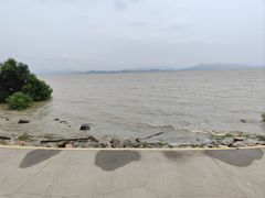 -深圳湾公园(南山区)