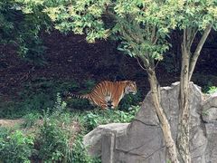 -宁波野生动物园