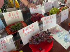 -马陆小张葡萄园农家乐