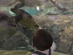 -福州罗源湾海洋世界旅游区