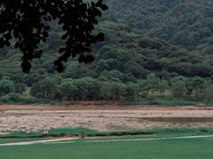 -风云岭森林公园