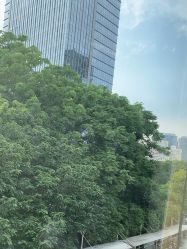 -上海首尔丽格医疗美容医院