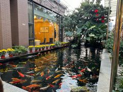 -新世纪大酒楼·30年南海菜