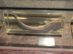 -湖州博物馆