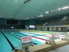 -重庆市奥林匹克体育中心-游泳跳水馆