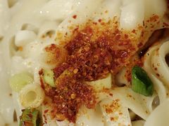 油泼面-悦海堂(金融街购物中心店)