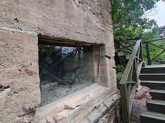 -青岛德国总督楼旧址博物馆