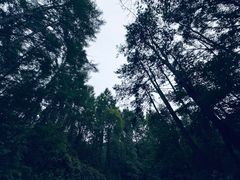 -萨尔浒风景区