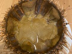 -海胆小馆(东北水饺·春柳店)