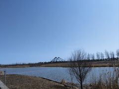 -春花秋色城市公园