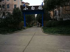 -上海浦东新区民办小白鸽幼儿园