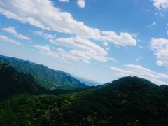 -大岭沟猕猴桃谷风景区