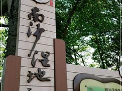-大湾区中央湿地公园