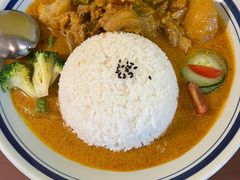 马来咖喱鸡饭-马来MO简餐.南洋风味料理(美食街店)