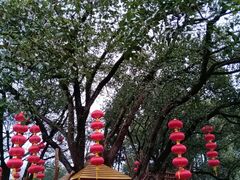 -无锡梅园公园