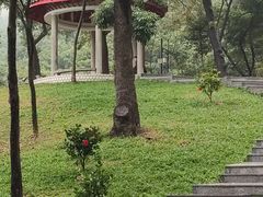 -桃花涧