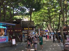 -海南分界洲岛旅游区