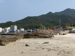 -杨梅坑