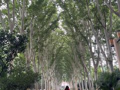 -河南省黄河迎宾馆