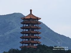 -望湖烤鱼