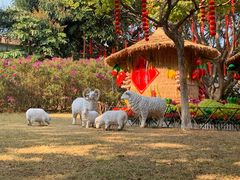 -广州莲花山旅游区