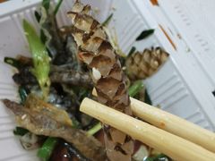 -陈添記·祖傳爽鱼皮·西关老字号(广州首店)