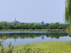 -北坞公园