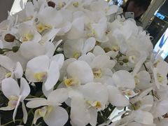 -远洋未来广场(育慧北路店)