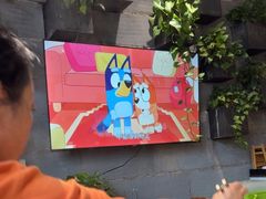 -竹鲜笙全竹宴(国色天香店)