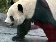 -秦皇岛野生动物园