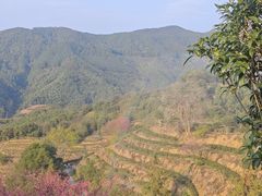 -象头山国家级自然保护区