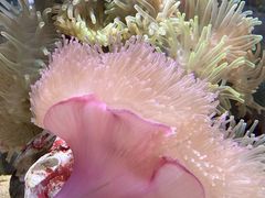 -太平洋海底世界