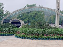 -南山植物园