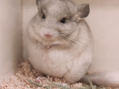 -龙猫仔乐园(惠福东路店)