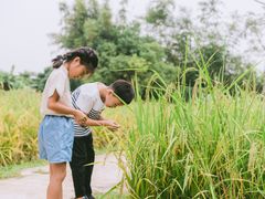 -崖口云吞(中堡店)