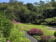 -云溪植物园