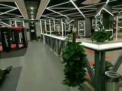 -金吉鸟健身游泳