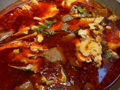 -蜀滋香鲜鱼美蛙火锅(339店)