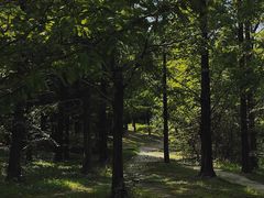 -北京奥林匹克公园
