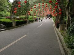 -大屏嶂森林公园