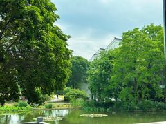 -无锡梁鸿湿地丽笙度假酒店·流觞西餐厅