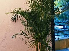 -邊渡咖啡