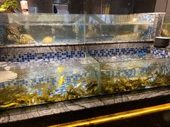 -喜庭海鲜自助(北辰三角洲北辰荟店)