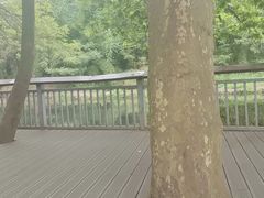 -阿哈湖国家湿地公园