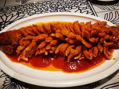 松鼠皖鱼-美庐时尚餐厅(菱角湖店)