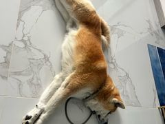 -中粮·祥云小镇