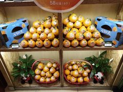 -眉州东坡(中日友好医院店)
