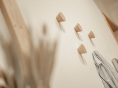 -金鸡湖游船(月光码头)