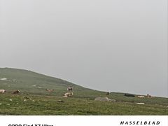 -灵山