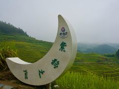 -紫鹊界梯田景区